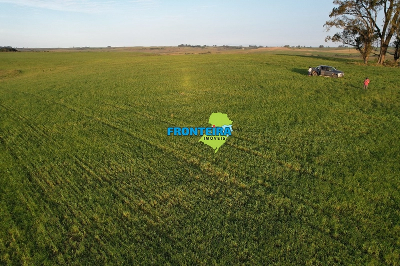 FAZENDA DOS SONHOS: 11ª foto da galeria de imagens do imóvel