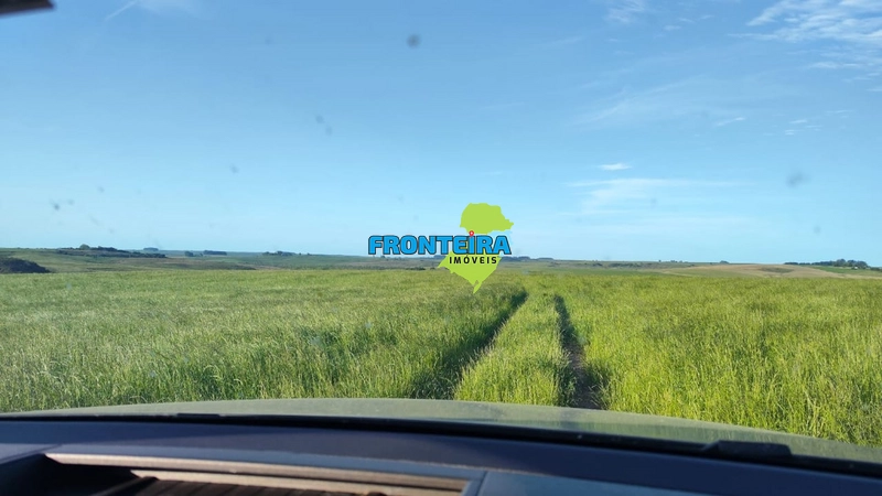 FAZENDA DOS SONHOS: 6ª foto da galeria de imagens do imóvel