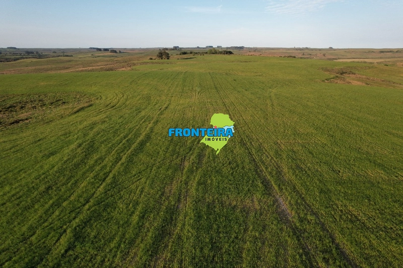 FAZENDA DOS SONHOS: 10ª foto da galeria de imagens do imóvel