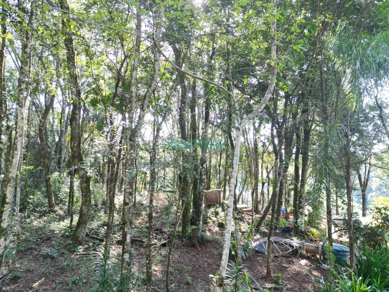 Chácara Nativa: 2ª foto da galeria de imagens do imóvel