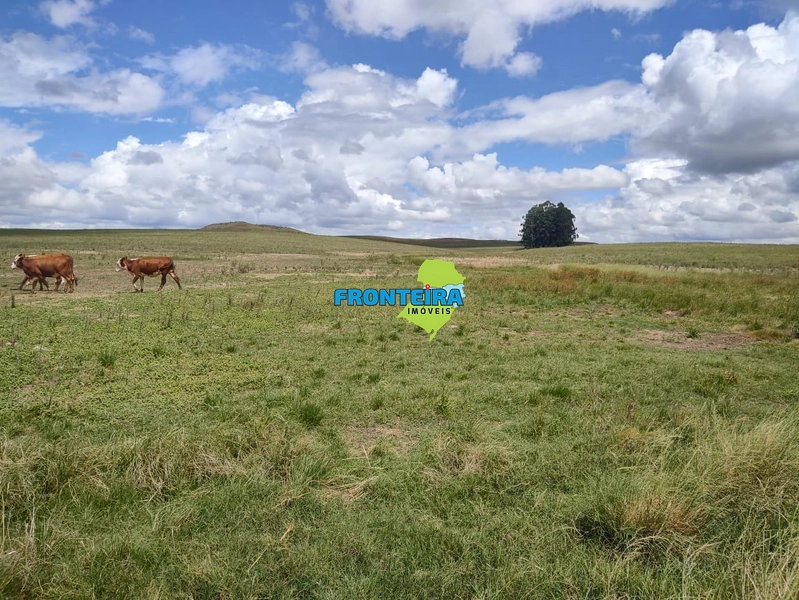 FAZENDA TOP: 6ª foto da galeria de imagens do imóvel