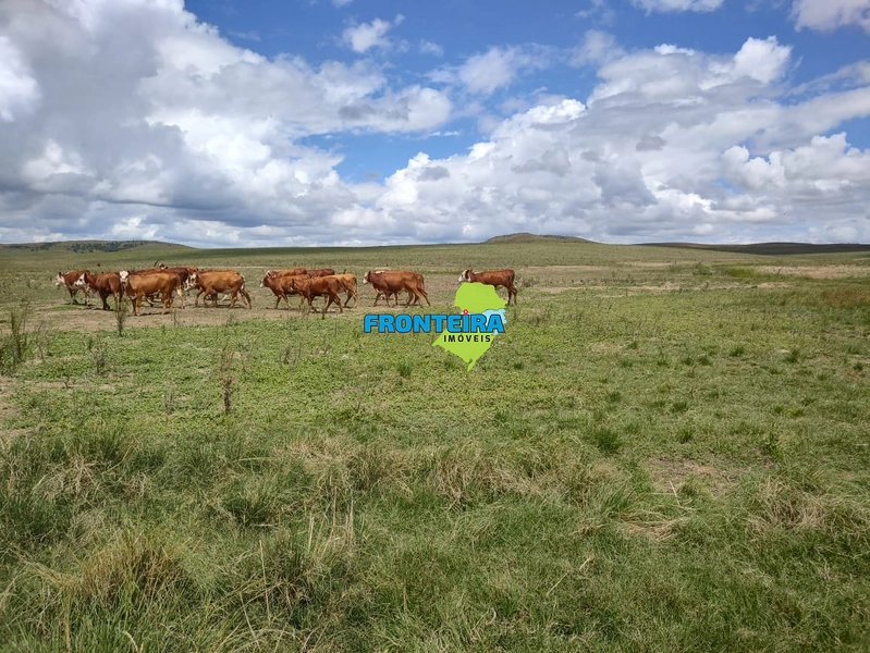 FAZENDA TOP: 9ª foto da galeria de imagens do imóvel