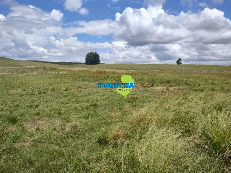 FAZENDA TOP: 5ª foto da galeria de imagens do imóvel