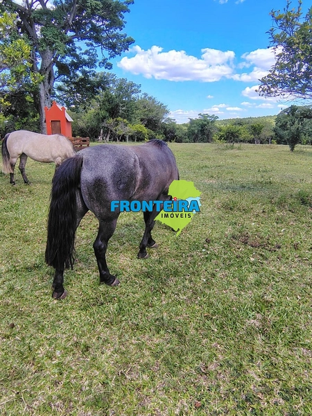 FAZENDA TOP: 8ª foto da galeria de imagens do imóvel