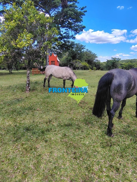 FAZENDA TOP: 7ª foto da galeria de imagens do imóvel