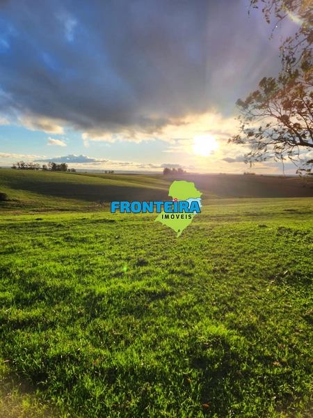 FAZENDA TOP: 15ª foto da galeria de imagens do imóvel