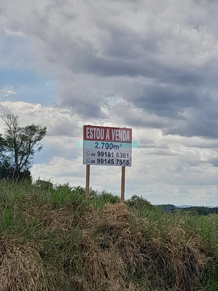 Terreno Comercial BR 163: 4ª foto da galeria de imagens do imóvel