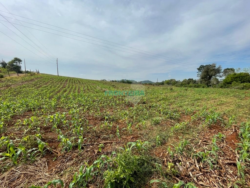 Área Rural Equipada: 11ª foto da galeria de imagens do imóvel