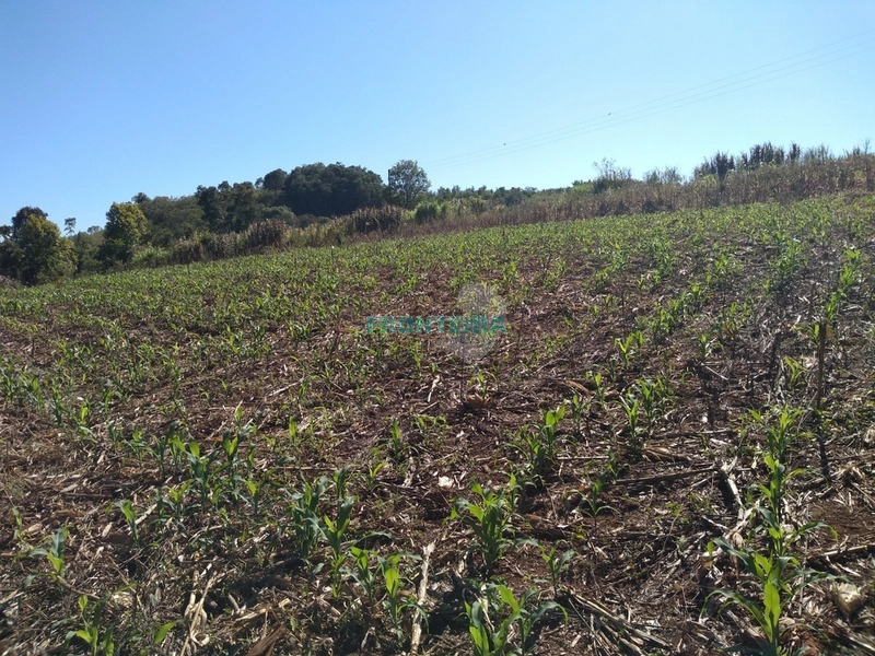 Área Rural Equipada: 4ª foto da galeria de imagens do imóvel