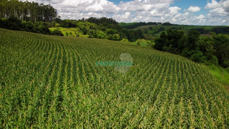 Área Rural - Dupla Aptidão: 5ª foto da galeria de imagens do imóvel