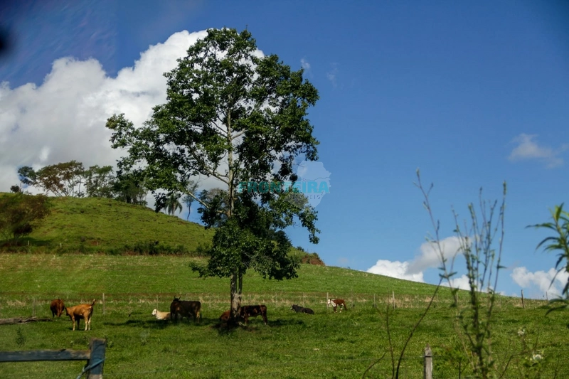 Área Rural - Dupla Aptidão: 10ª foto da galeria de imagens do imóvel