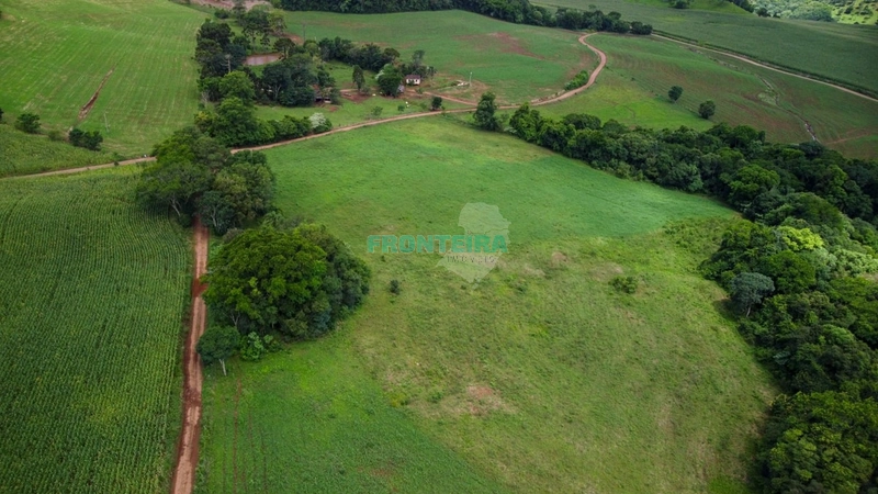 Área Rural - Dupla Aptidão: 11ª foto da galeria de imagens do imóvel