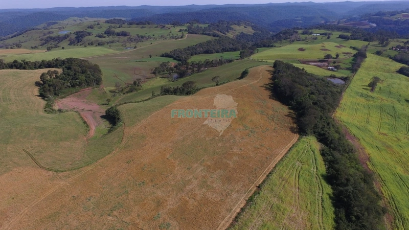 Área Rural - Dupla Aptidão: 2ª foto da galeria de imagens do imóvel