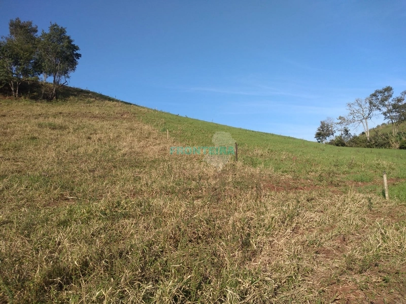 Propriedade Rural TOP: 14ª foto da galeria de imagens do imóvel