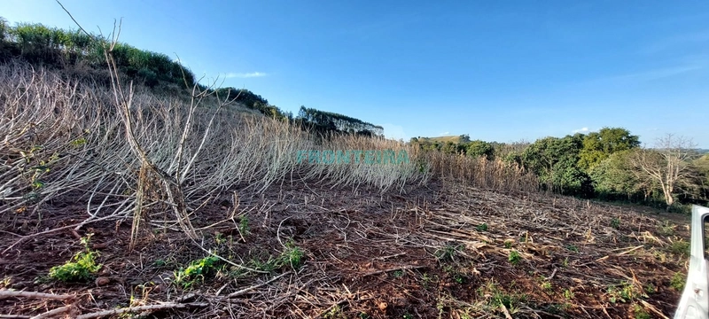 Propriedade Rural TOP: 6ª foto da galeria de imagens do imóvel