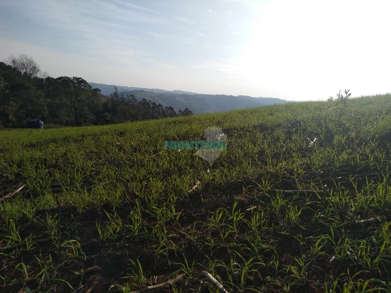Propriedade Rural TOP: 7ª foto da galeria de imagens do imóvel
