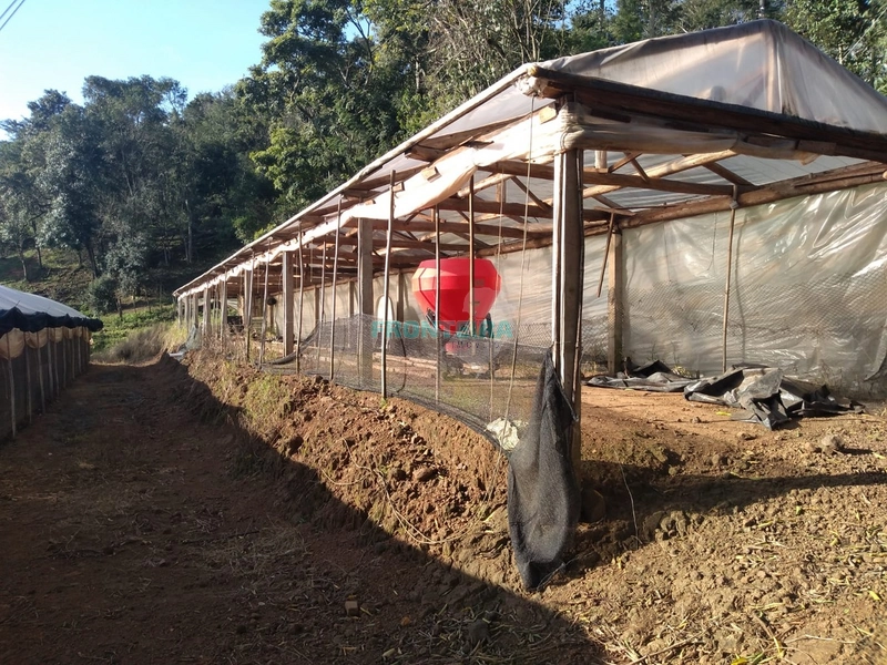 Propriedade Rural TOP: 13ª foto da galeria de imagens do imóvel