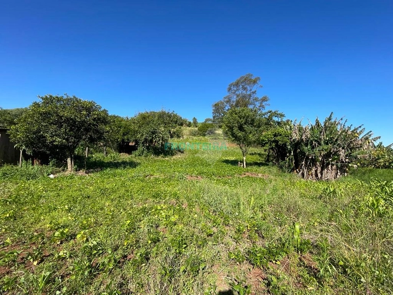 Terreno Comercial: 5ª foto da galeria de imagens do imóvel