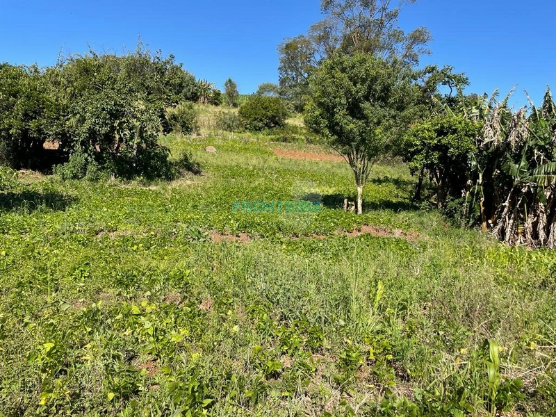 Terreno Comercial: 6ª foto da galeria de imagens do imóvel