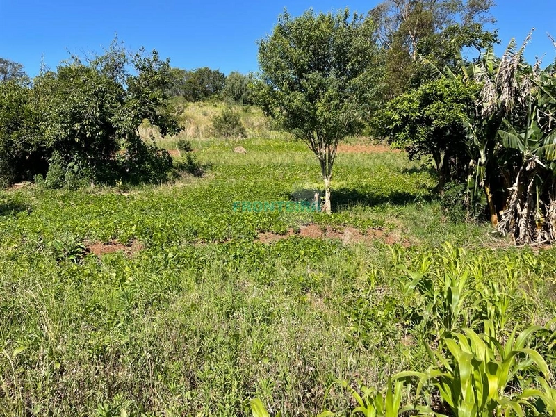 Terreno Comercial: 3ª foto da galeria de imagens do imóvel