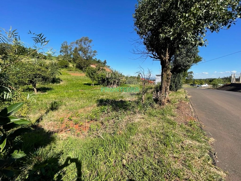 Terreno Comercial: 7ª foto da galeria de imagens do imóvel