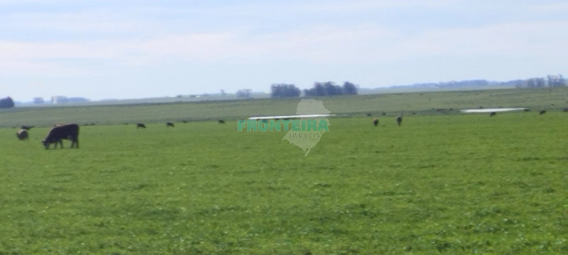 Fazenda no Uruguai: 23ª foto da galeria de imagens do imóvel
