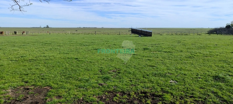 Fazenda no Uruguai: 19ª foto da galeria de imagens do imóvel