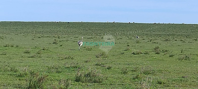 Fazenda no Uruguai: 21ª foto da galeria de imagens do imóvel