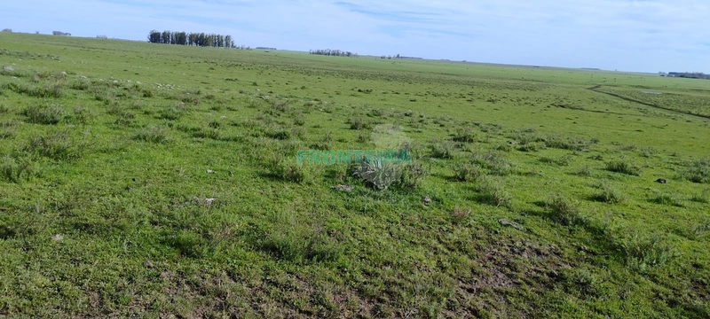 Fazenda no Uruguai: 2ª foto da galeria de imagens do imóvel