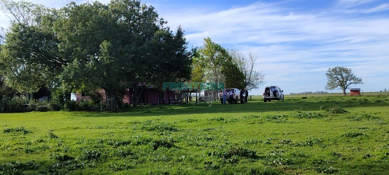 Fazenda no Uruguai: 10ª foto da galeria de imagens do imóvel