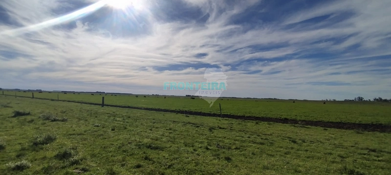 Fazenda no Uruguai: 24ª foto da galeria de imagens do imóvel
