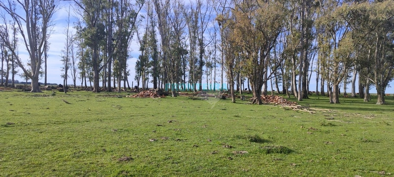 Fazenda no Uruguai: 25ª foto da galeria de imagens do imóvel