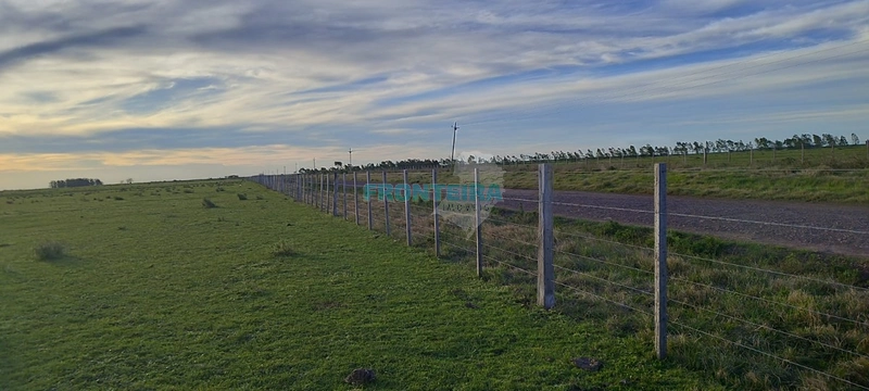 Fazenda no Uruguai: 17ª foto da galeria de imagens do imóvel