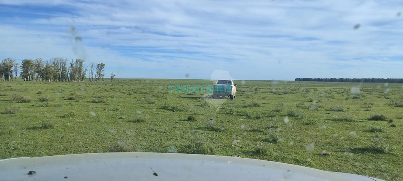 Fazenda no Uruguai: 12ª foto da galeria de imagens do imóvel