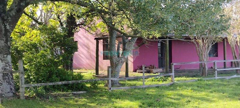 Fazenda no Uruguai: 8ª foto da galeria de imagens do imóvel
