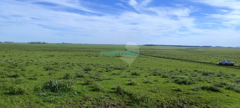 Fazenda no Uruguai: 3ª foto da galeria de imagens do imóvel