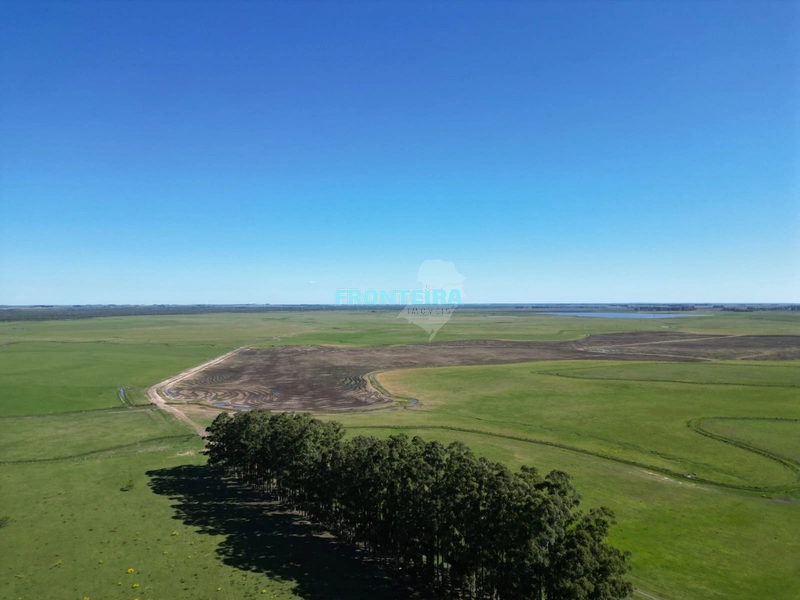Linda Fazenda no Uruguai: 12ª foto da galeria de imagens do imóvel