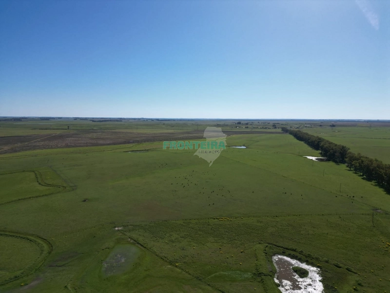 Linda Fazenda no Uruguai: 11ª foto da galeria de imagens do imóvel