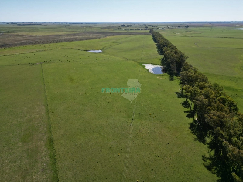 Linda Fazenda no Uruguai: 4ª foto da galeria de imagens do imóvel