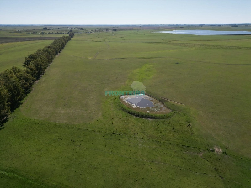 Linda Fazenda no Uruguai: 9ª foto da galeria de imagens do imóvel