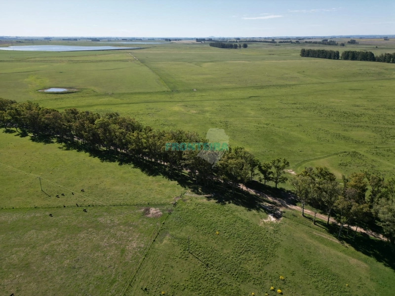 Linda Fazenda no Uruguai: 3ª foto da galeria de imagens do imóvel