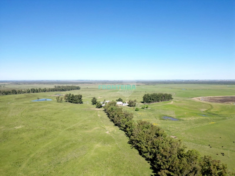 Linda Fazenda no Uruguai: 7ª foto da galeria de imagens do imóvel