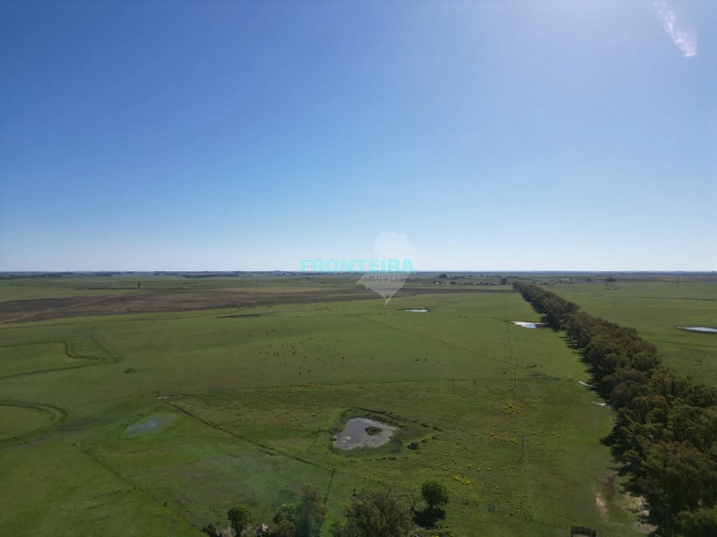 Linda Fazenda no Uruguai: 30ª foto da galeria de imagens do imóvel
