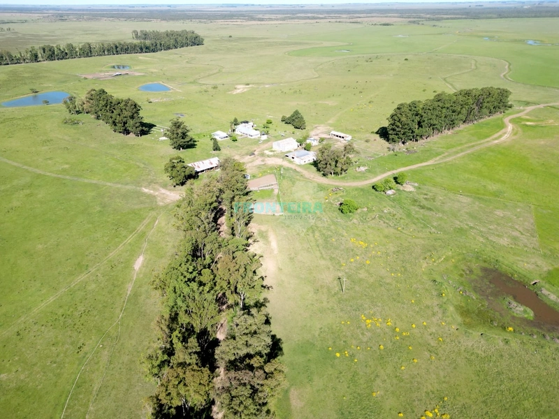 Linda Fazenda no Uruguai: 23ª foto da galeria de imagens do imóvel