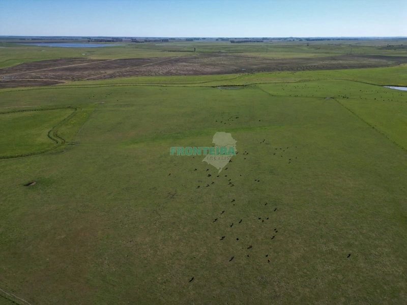 Linda Fazenda no Uruguai: 5ª foto da galeria de imagens do imóvel