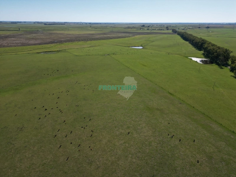 Linda Fazenda no Uruguai: 2ª foto da galeria de imagens do imóvel