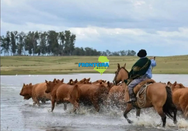 : 15ª foto da galeria de imagens do imóvel