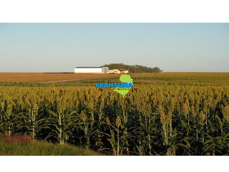 : 4ª foto da galeria de imagens do imóvel