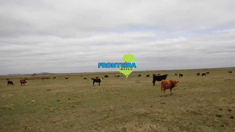 : 31ª foto da galeria de imagens do imóvel
