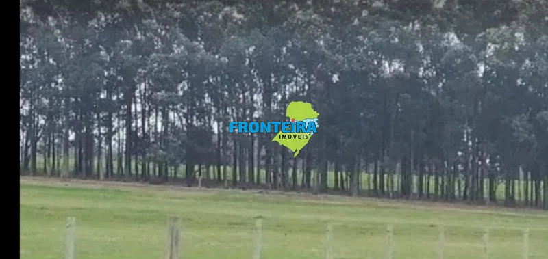 EXCPECIONAL FAZENDA: 17ª foto da galeria de imagens do imóvel